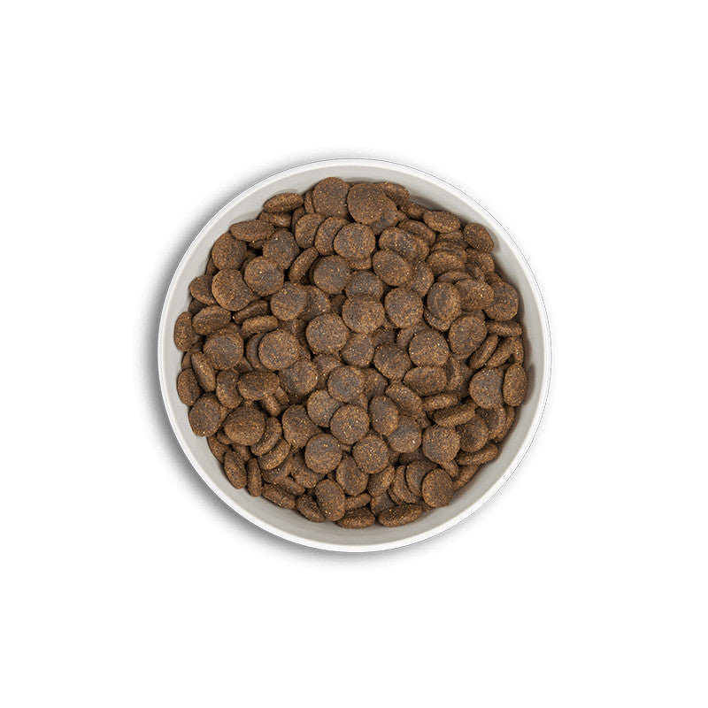 ERA ADULT Moyen/Grand Chien Saumon et Hareng