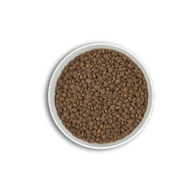 ERA ADULT Petit Chien Canard et Agneau