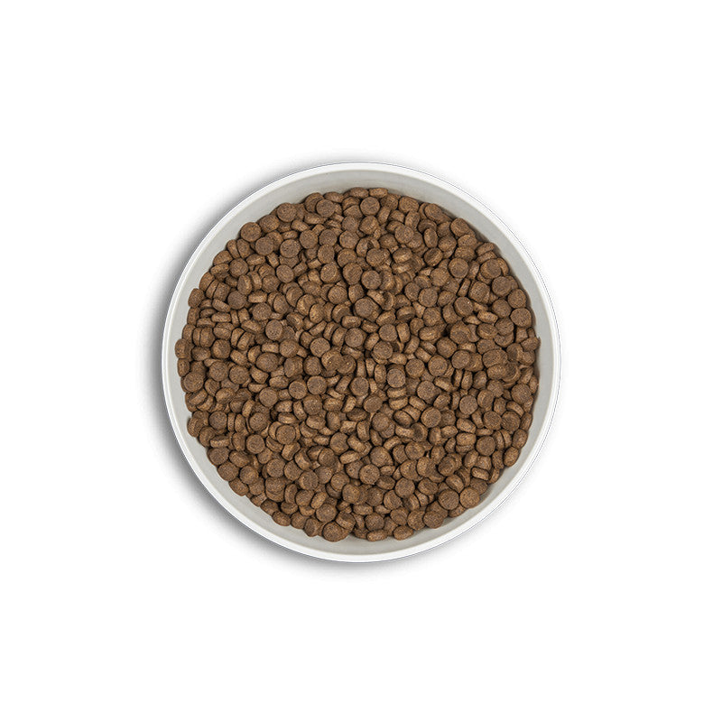 ERA ADULT Petit Chien Saumon et Hareng