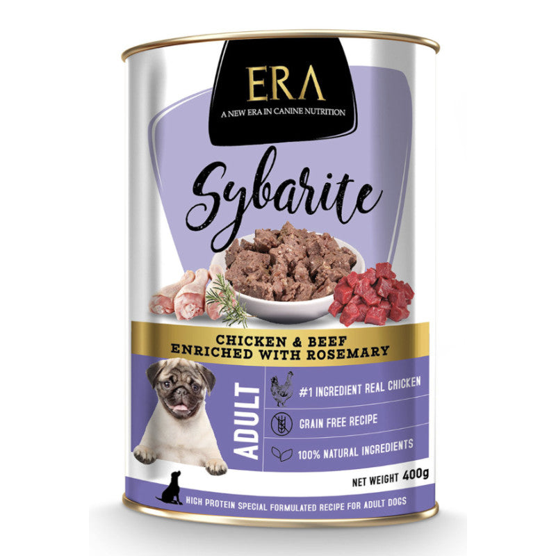 PROMO 4+1 Découverte ERA Sybarite