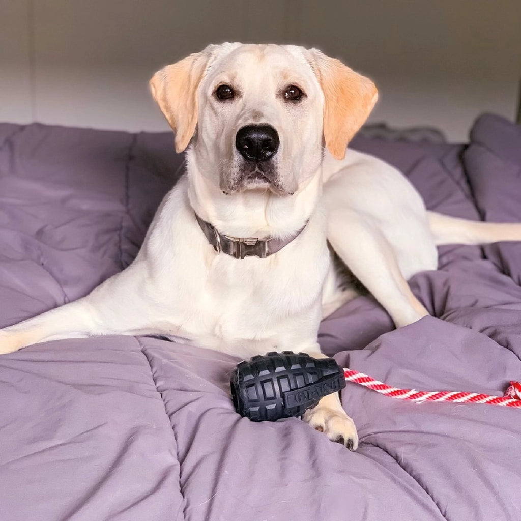 USA-K9 Magnum Grenade -Noir Le Jouet Résistant pour Chiens Énergiques