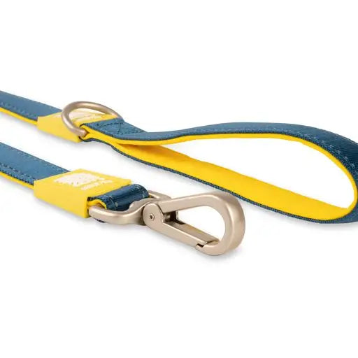 Laisse Max & Molly Bleu foncé