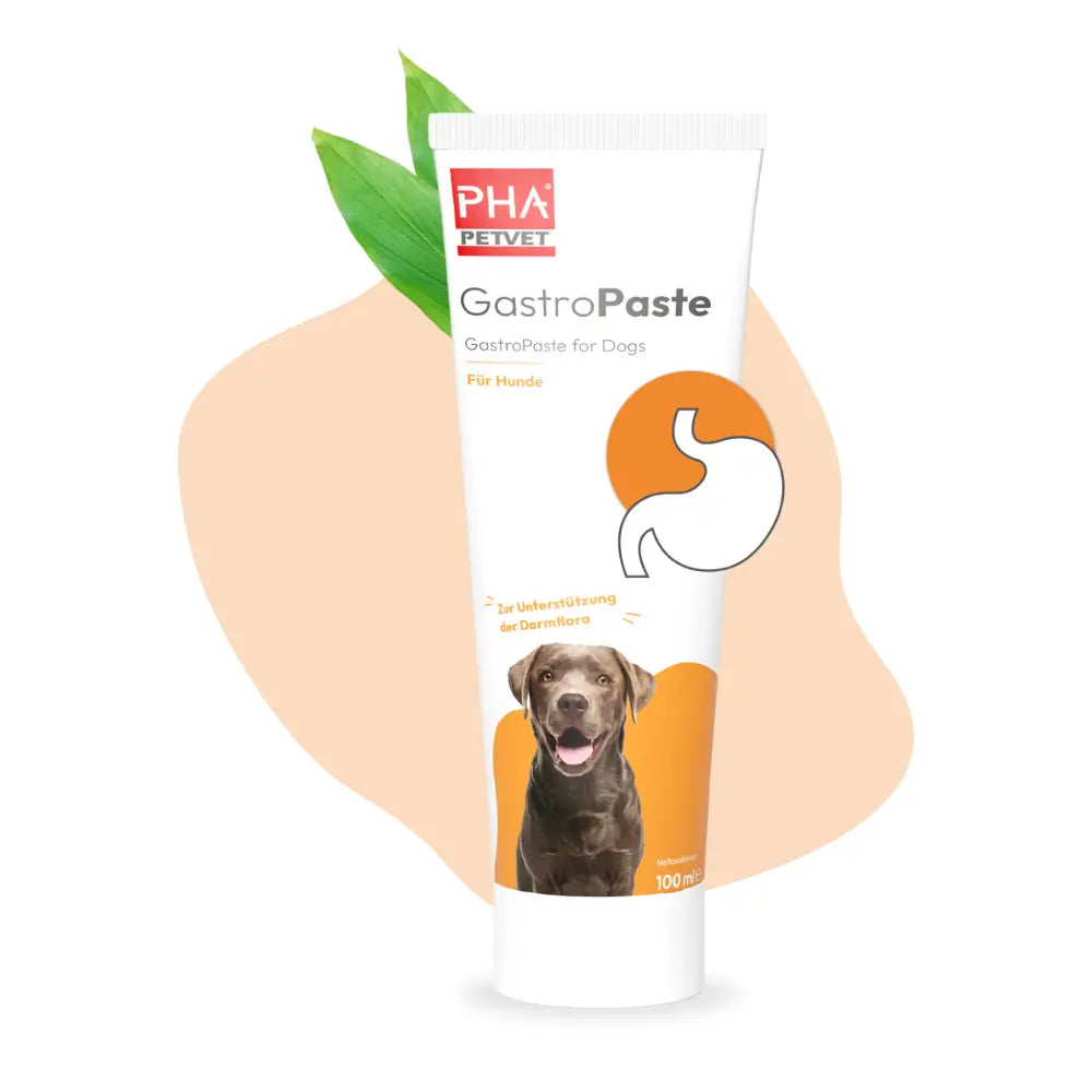 Gastropaste PHA pour chiens