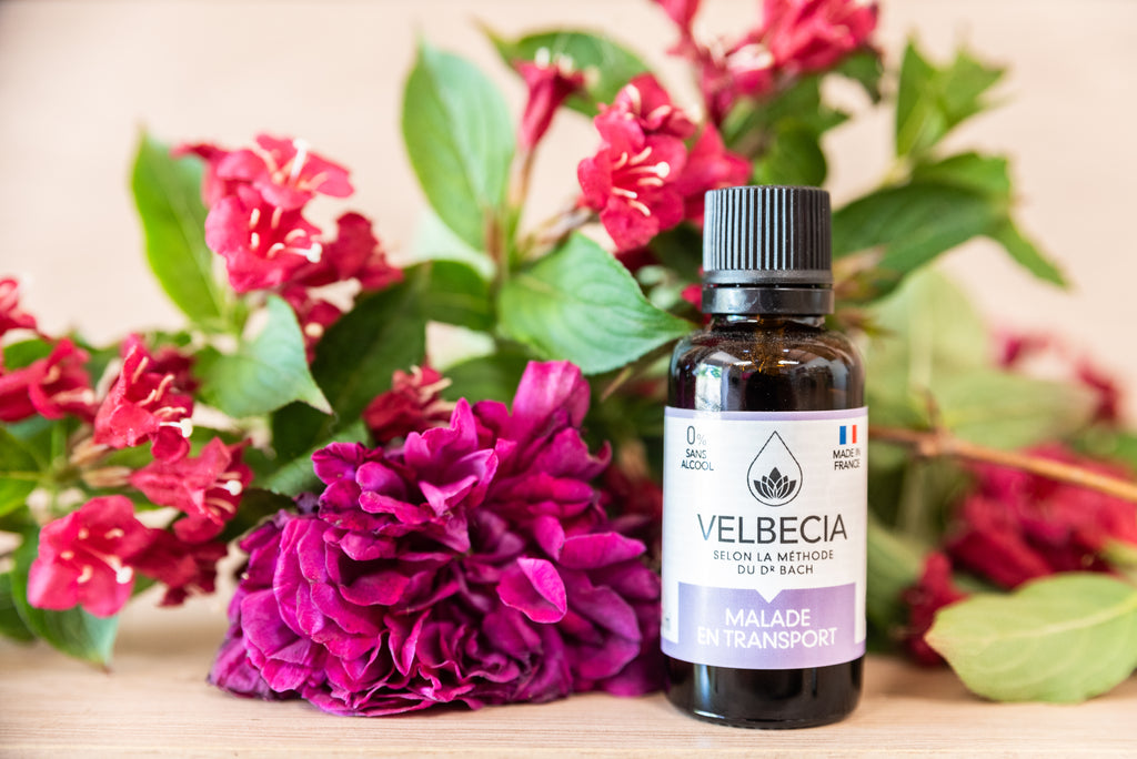 Fleurs de Bach pour Animal Peureux