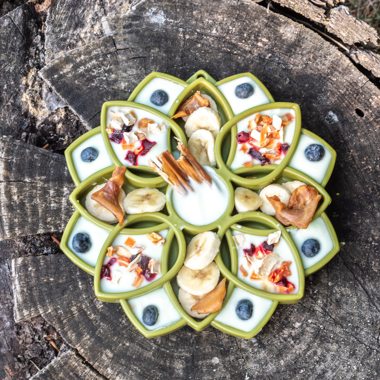 Kéfir de Myrtilles et brocoli