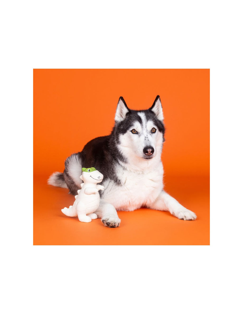 Jouet en Latex "Dinosaure momie" pour Chiens