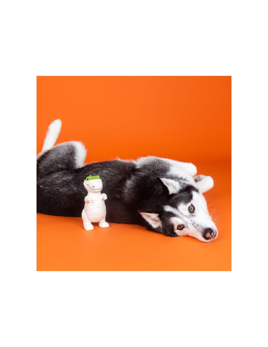 Jouet en Latex "Dinosaure momie" pour Chiens