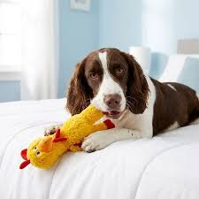 Peluche KONG pour chien - Knots Poulet 🐓S/M