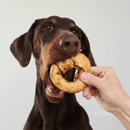 Chewllagen Donut Boeuf 10cm
