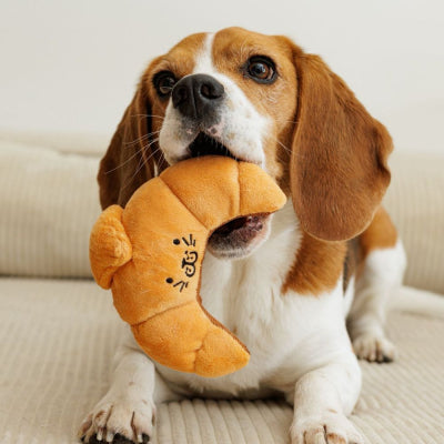Jouet Peluche "Croissant" pour Chiens
