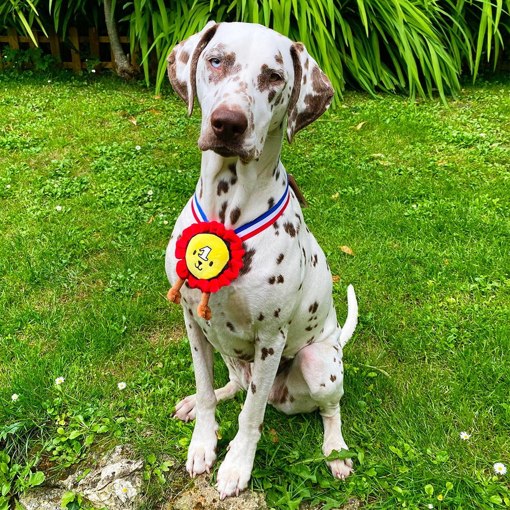 Jouet Peluche Médaille "N°1" pour Chiens