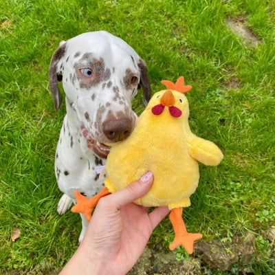 Jouet Peluche "Poule Jaune" pour Chiens