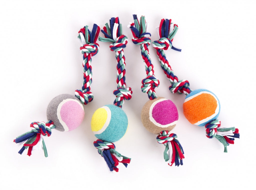 Corde de Jeu avec Balle Amusement et Dentition