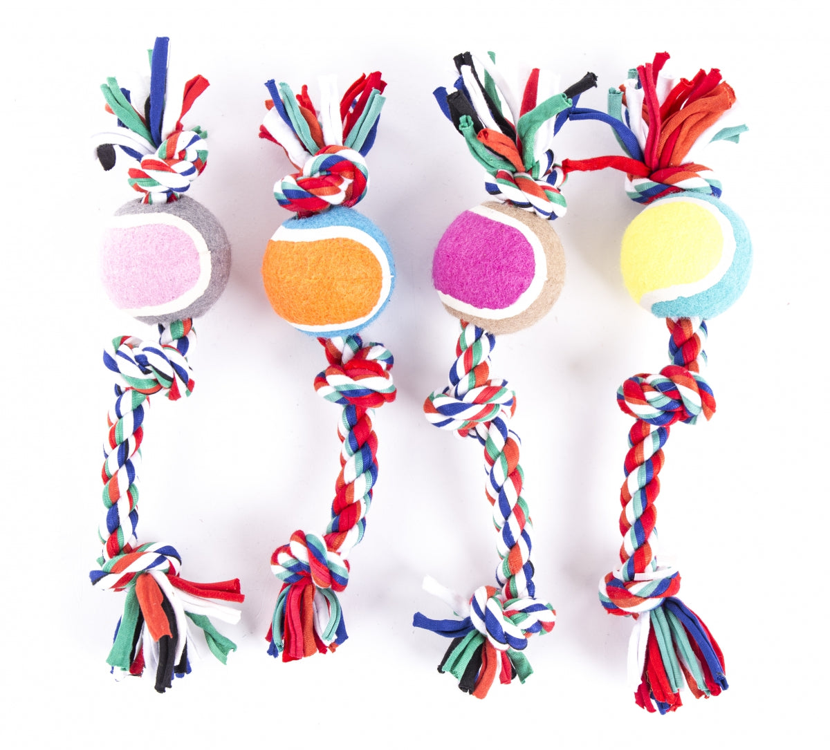 Corde de Jeu avec Balle Amusement et Dentition