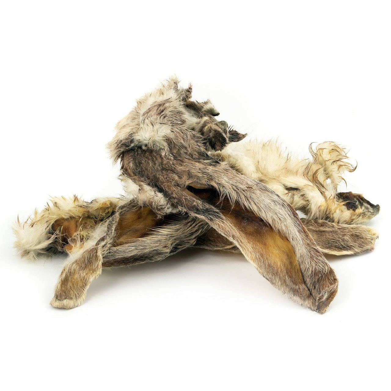Oreilles de lapin avec poils