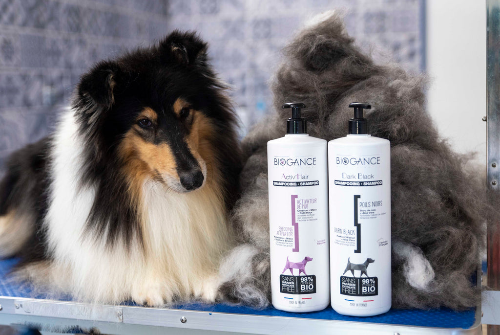 Shampooing Activ’Hair