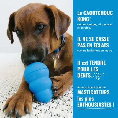 KONG Puppy