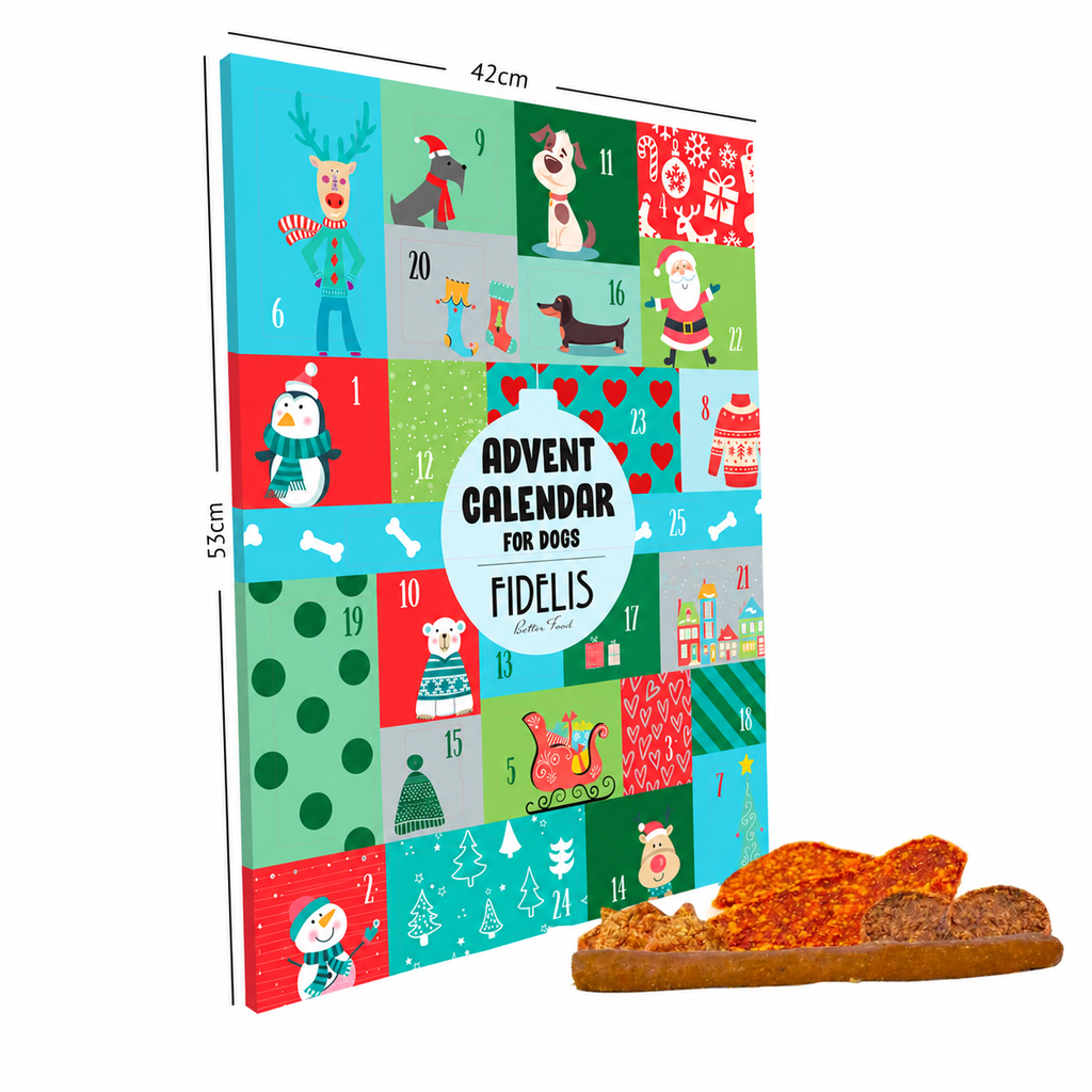 Calendrier de l'Avent XL pour chien Bleu