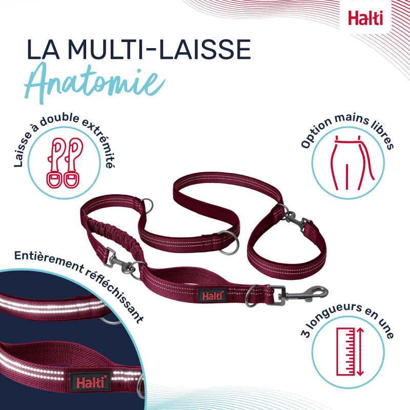 Laisse multiposition  Anatomy