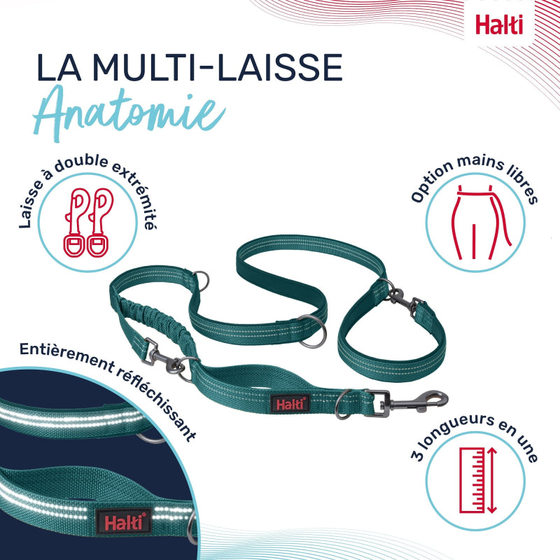 Laisse multiposition  Anatomy