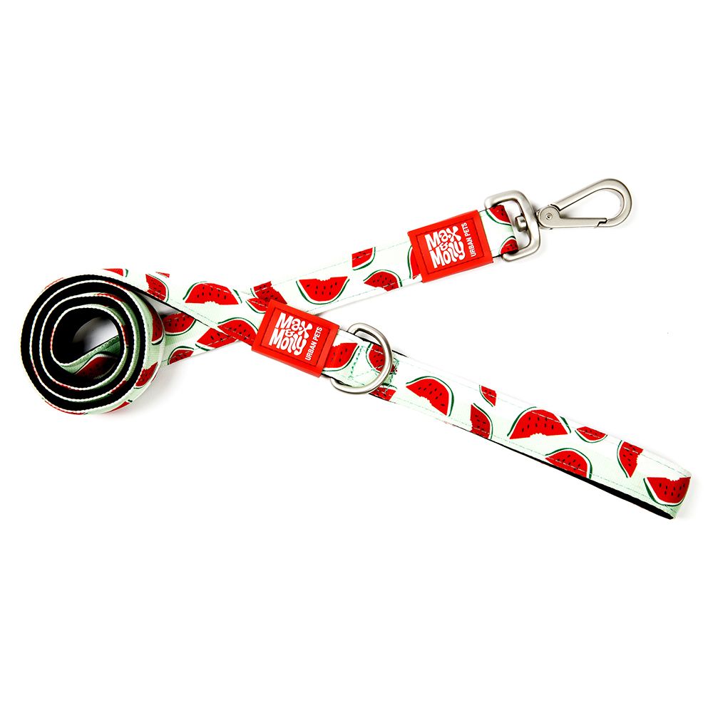 Laisse Max & Molly Pasteque