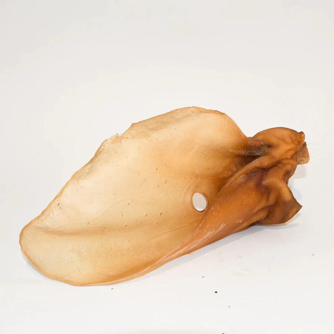 Oreilles de bœuf avec coquille