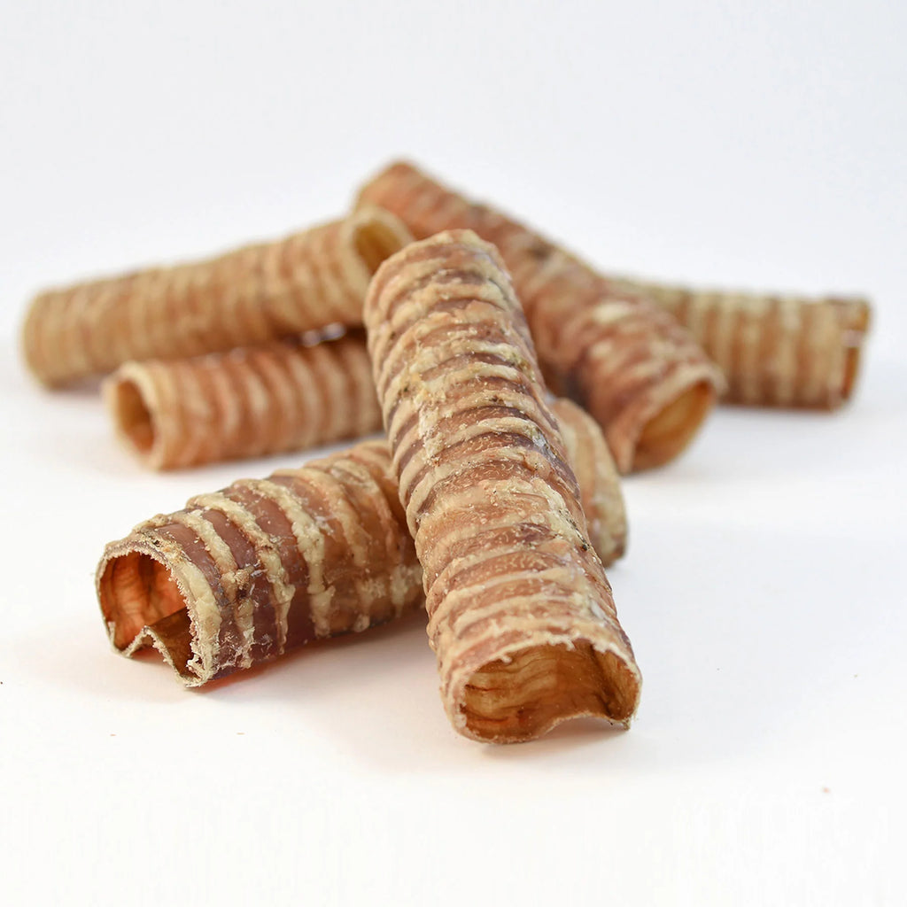 Trachée de bœuf 12 cm