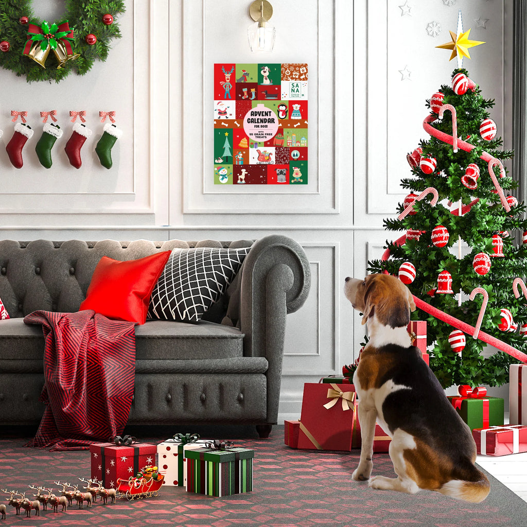 Calendrier de l'Avent XL pour chien