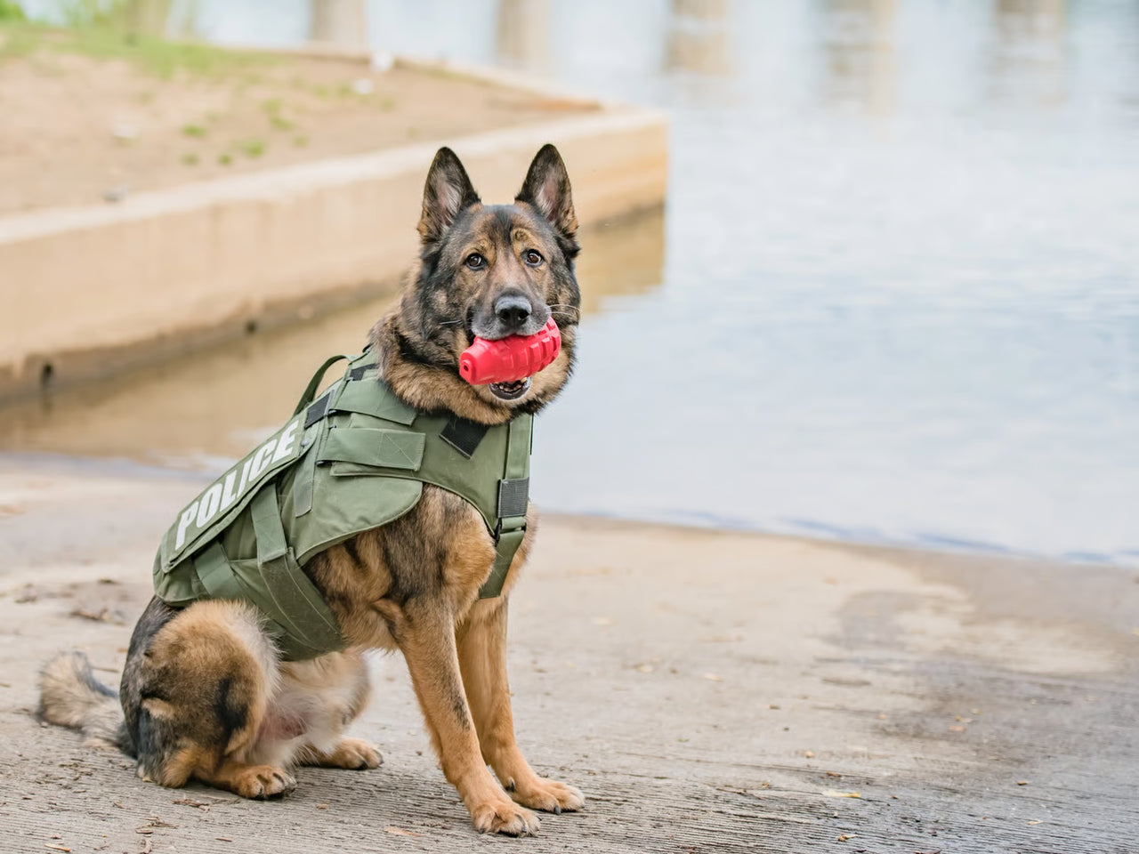 USA-K9 Magnum Grenade - Rouge Le Jouet Résistant pour Chiens Énergiques