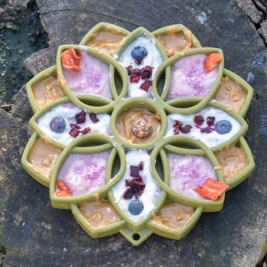 Gamelle anti glouton Mandala