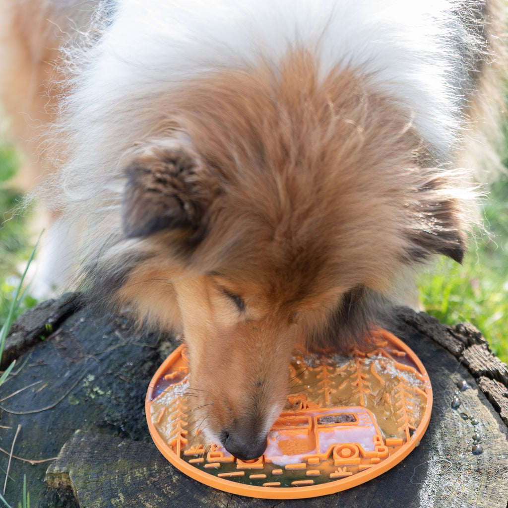 Tapis de Léchage "Adventure Pup"
