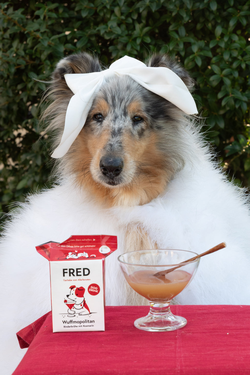 "Wuffmopolitan" Boisson pour chien