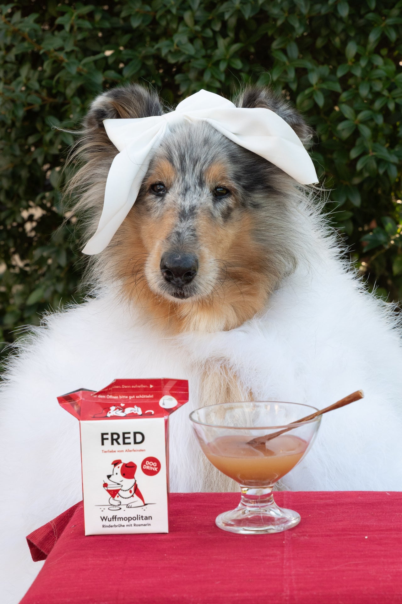 "Wuffmopolitan" Boisson pour chien