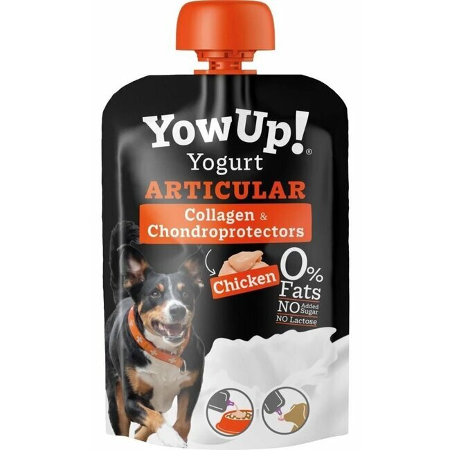 Yow Up Yaourt naturel Articular 115g