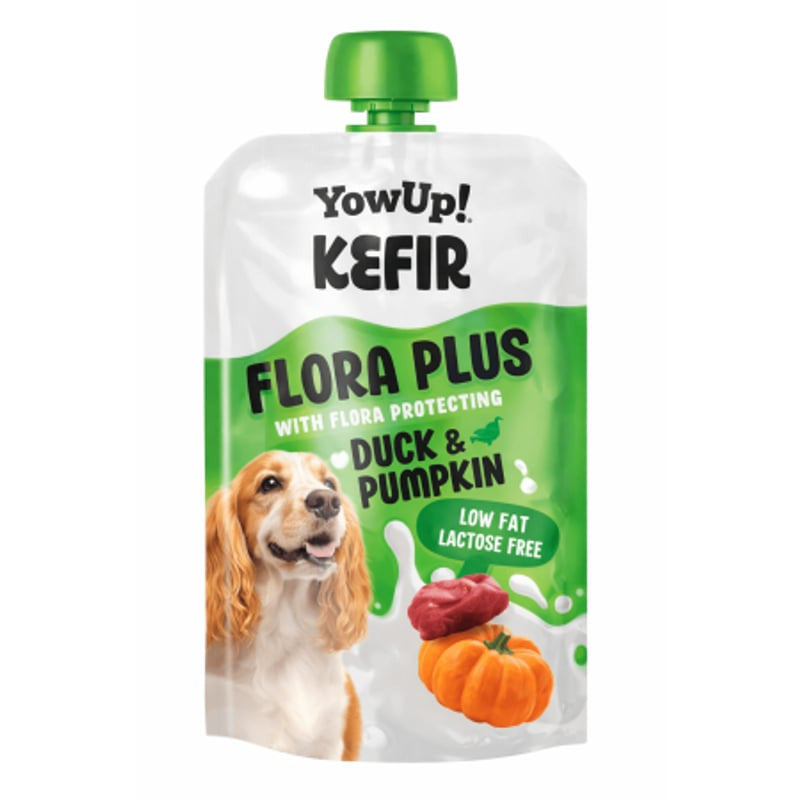YowUP -Kefir Chien Canard 115G