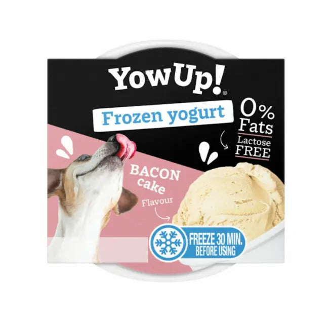 YowUP - Yaourt glacé Bacon pour chien