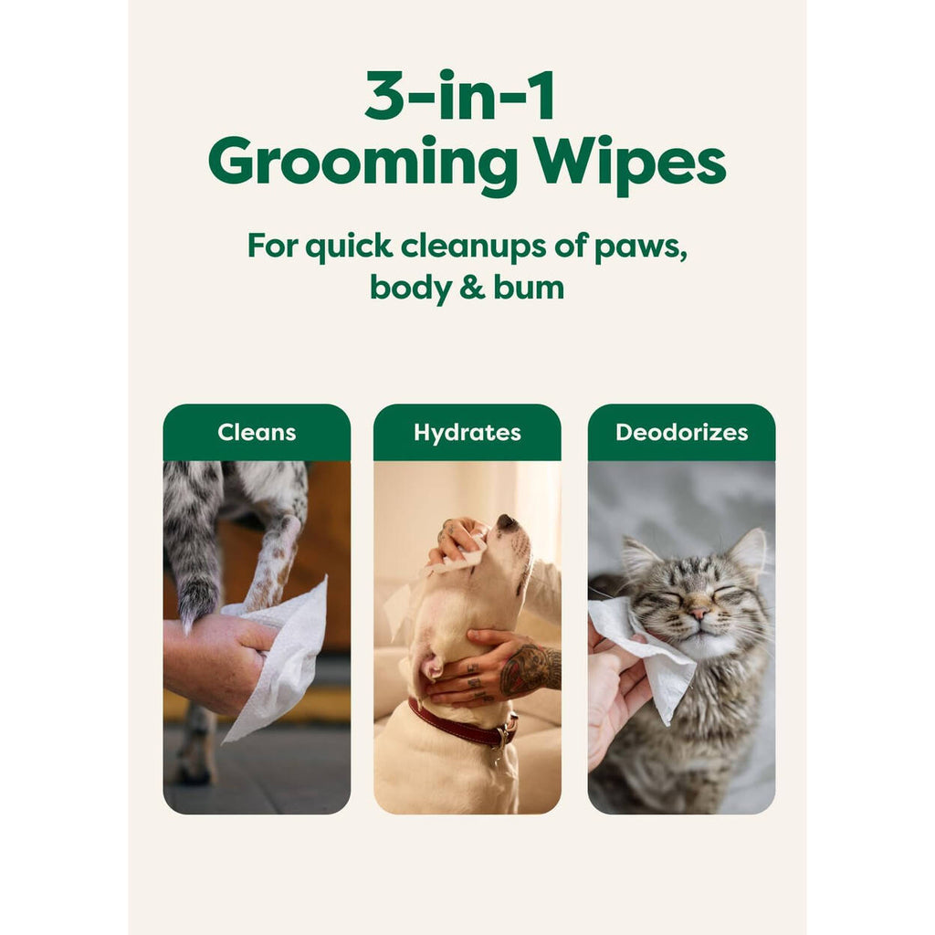 100 Lingettes pour chiens